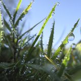 Die besten User-Fotos - November 2008 - Bild 8