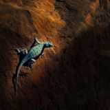 Die besten User-Fotos - November 2008 - Bild 10