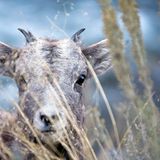 Die besten User-Fotos - November 2008 - Bild 12