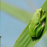 Die besten User-Fotos - November 2008 - Bild 14