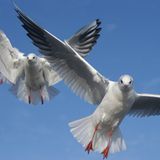 Die besten User-Fotos - November 2008 - Bild 15