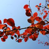 Die besten User-Fotos - November 2008 - Bild 16