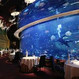 Fotogalerie: Dubai - Bild 5