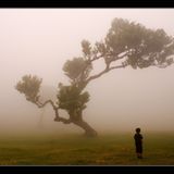 Fotowettbewerb: Die Sieger: Fotowettbewerb: Die Sieger