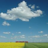 Fotowettbewerb: Die Sieger: Fotowettbewerb: Die Sieger - Bild 7