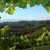 Fotowettbewerb: Die Sieger: Fotowettbewerb: Die Sieger - Bild 10