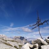 Fotowettbewerb: Die Sieger: Fotowettbewerb: Die Sieger - Bild 11