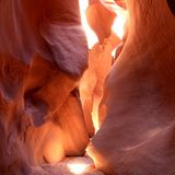 Fotowettbewerb: Die Sieger: Fotowettbewerb: Die Sieger - Bild 12