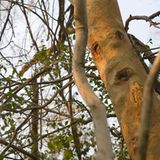 Fotowettbewerb: Die Sieger: Fotowettbewerb: Die Sieger - Bild 13