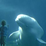 Fotowettbewerb: Die Sieger: Fotowettbewerb: Die Sieger - Bild 14