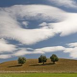 Fotowettbewerb: Die Sieger: Fotowettbewerb: Die Sieger - Bild 17