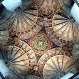 Fotowettbewerb: Die Sieger: Fotowettbewerb: Die Sieger - Bild 18