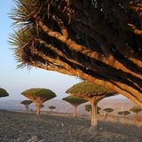 Fotowettbewerb: Die Sieger: Fotowettbewerb: Die Sieger - Bild 20