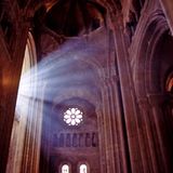 Fotowettbewerb: Die Sieger: Fotowettbewerb: Die Sieger - Bild 24