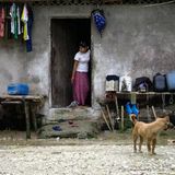 Fotoshow: Die schönsten Fotos von Nam & Co. - Bild 2