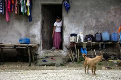 Fotoshow: Die schönsten Fotos von Nam & Co. - Bild 2