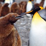 Die besten User-Fotos - Dezember 2008 - Bild 2