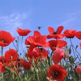 Die besten User-Fotos - Dezember 2008 - Bild 3