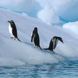 Die besten User-Fotos - Dezember 2008 - Bild 4