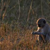 Die besten User-Fotos - Dezember 2008 - Bild 7