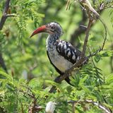 Die besten User-Fotos - Dezember 2008 - Bild 10