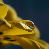 Die besten User-Fotos - Dezember 2008 - Bild 11