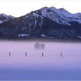 Die besten User-Fotos - Dezember 2008 - Bild 16