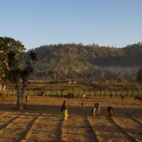 Fotogalerie: Die Augen des Dschungels - Bild 8