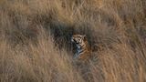 Fotogalerie: Die Augen des Dschungels - Bild 11
