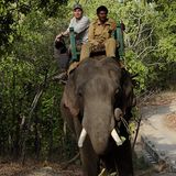 Fotogalerie: Die Augen des Dschungels - Bild 12