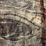 Arktis: Expedition in die Vertikale - Bild 5