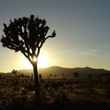 Die besten User-Fotos - Januar 2009