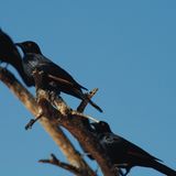 Die besten User-Fotos - Januar 2009 - Bild 2