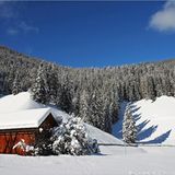 Die besten User-Fotos - Januar 2009 - Bild 3