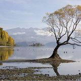 Die besten User-Fotos - Januar 2009 - Bild 4