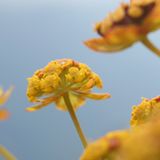 Die besten User-Fotos - Januar 2009 - Bild 5