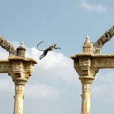 Die besten User-Fotos - Januar 2009 - Bild 6