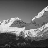 Die besten User-Fotos - Januar 2009 - Bild 7