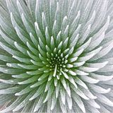 Die besten User-Fotos - Januar 2009 - Bild 8