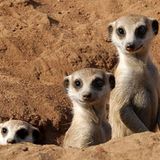 Die besten User-Fotos - Januar 2009 - Bild 11