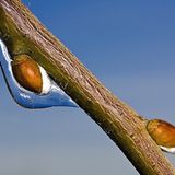 Die besten User-Fotos - Januar 2009 - Bild 13