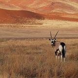 Die besten User-Fotos - Januar 2009 - Bild 14