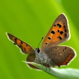 Die besten User-Fotos - Januar 2009 - Bild 15