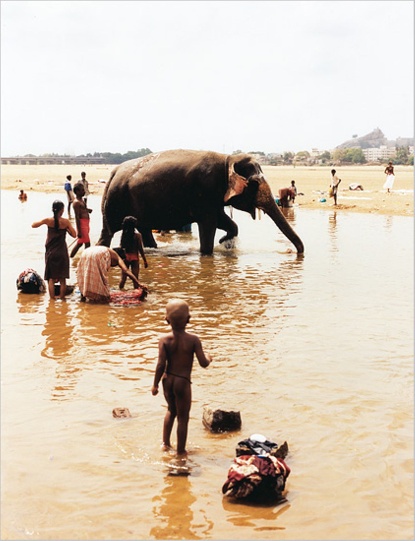 Tamil Nadu: Wo die Götter wohnen - Bild 5