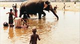 Tamil Nadu: Wo die Götter wohnen - Bild 5