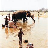 Tamil Nadu: Wo die Götter wohnen - Bild 5