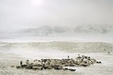 Ethnologie: Nordafghanistan: Ein Winter bei den Pamir-Kirgisen