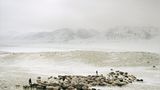 Ethnologie: Nordafghanistan: Ein Winter bei den Pamir-Kirgisen