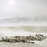 Ethnologie: Nordafghanistan: Ein Winter bei den Pamir-Kirgisen