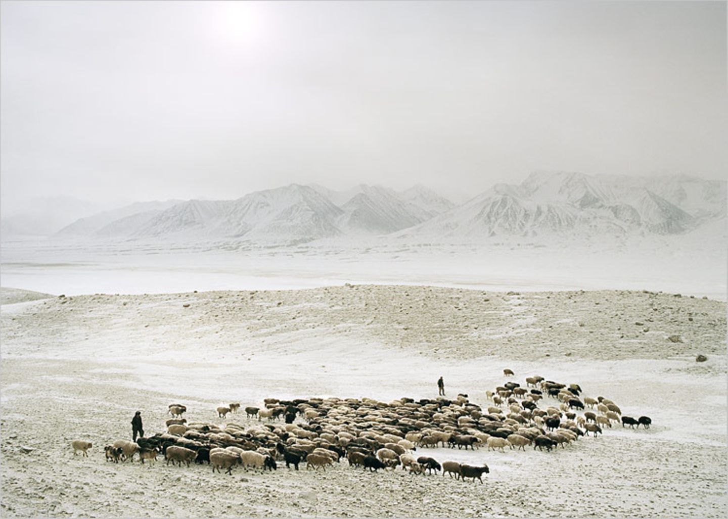 Ethnologie: Nordafghanistan: Ein Winter bei den Pamir-Kirgisen